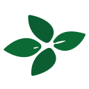 Four-Leaf