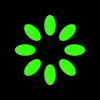 KiwiMotion